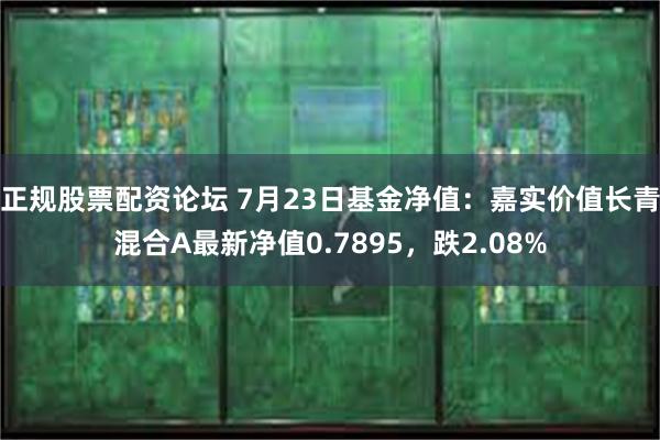 正规股票配资论坛 7月23日基金净值：嘉实价值长青混合A最新净值0.7895，跌2.08%