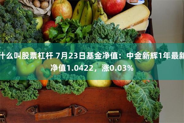 什么叫股票杠杆 7月23日基金净值：中金新辉1年最新净值1.0422，涨0.03%