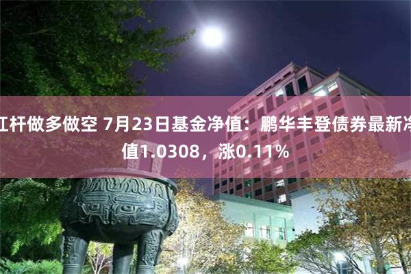 杠杆做多做空 7月23日基金净值：鹏华丰登债券最新净值1.0308，涨0.11%