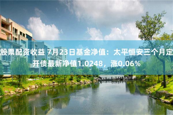 股票配资收益 7月23日基金净值：太平恒安三个月定开债最新净值1.0248，涨0.06%