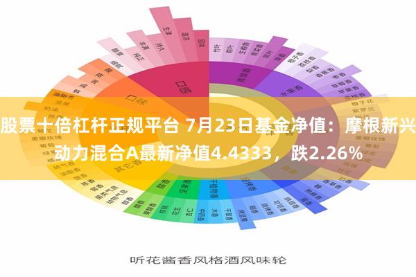 股票十倍杠杆正规平台 7月23日基金净值：摩根新兴动力混合A最新净值4.4333，跌2.26%