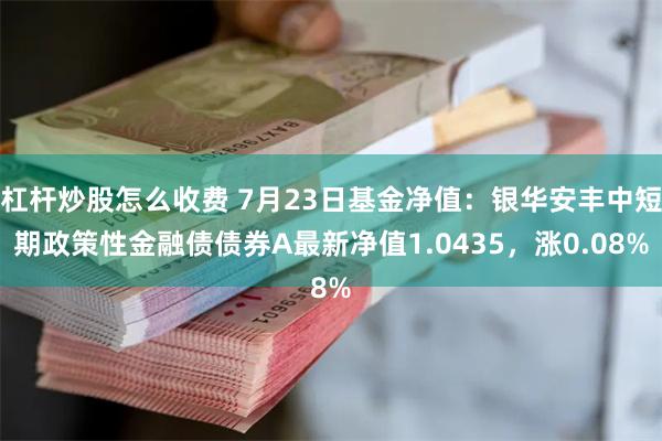 杠杆炒股怎么收费 7月23日基金净值：银华安丰中短期政策性金融债债券A最新净值1.0435，涨0.08%