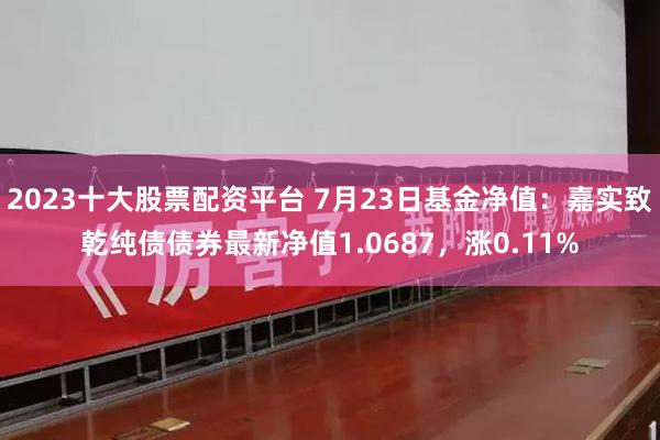 2023十大股票配资平台 7月23日基金净值：嘉实致乾纯债债券最新净值1.0687，涨0.11%