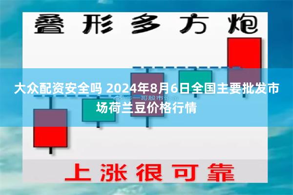 大众配资安全吗 2024年8月6日全国主要批发市场荷兰豆价格行情