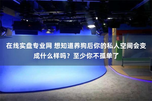 在线实盘专业网 想知道养狗后你的私人空间会变成什么样吗？至少你不孤单了