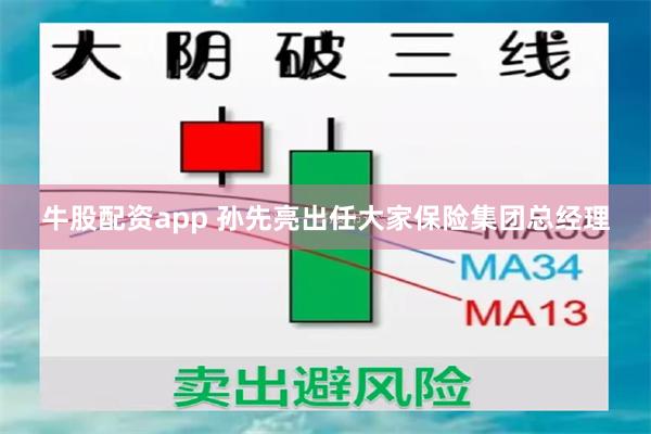 牛股配资app 孙先亮出任大家保险集团总经理