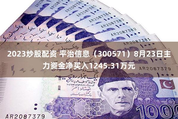 2023炒股配资 平治信息（300571）8月23日主力资金净买入1245.31万元